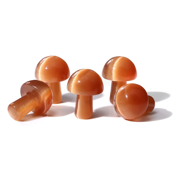 5Pcs/Mushroom Stone Set