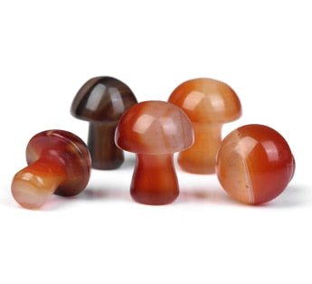 5Pcs/Mushroom Stone Set